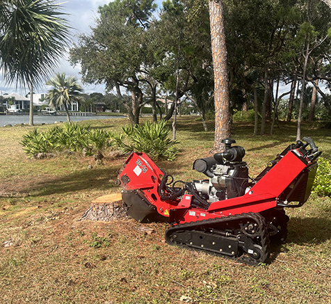 Tree Care Services Jupiter FL