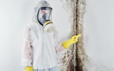 Florida Mold Moves Fast—How to Catch It Before It Spreads