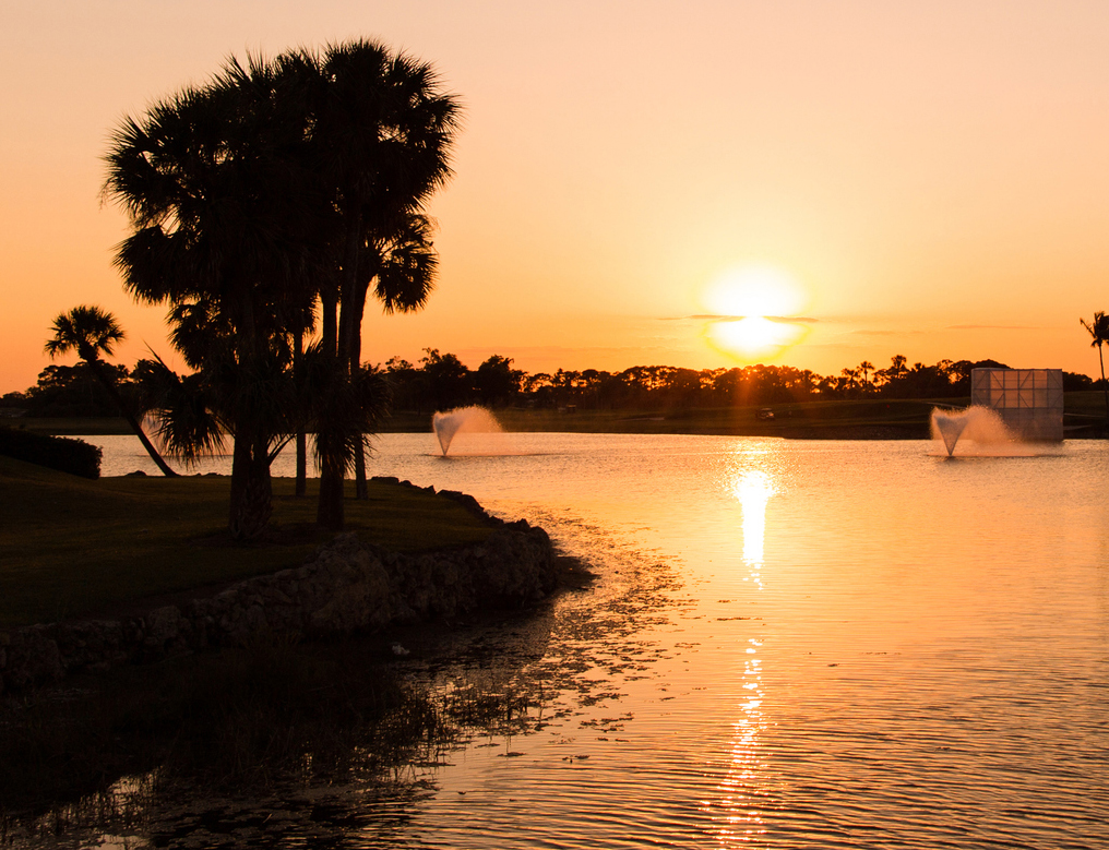 Property Services in Palm Beach Gardens, FL