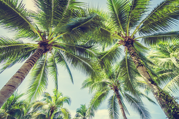 Property Services in West Palm Beach, FL