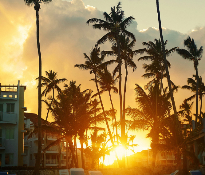Property Services in Juno Beach, FL