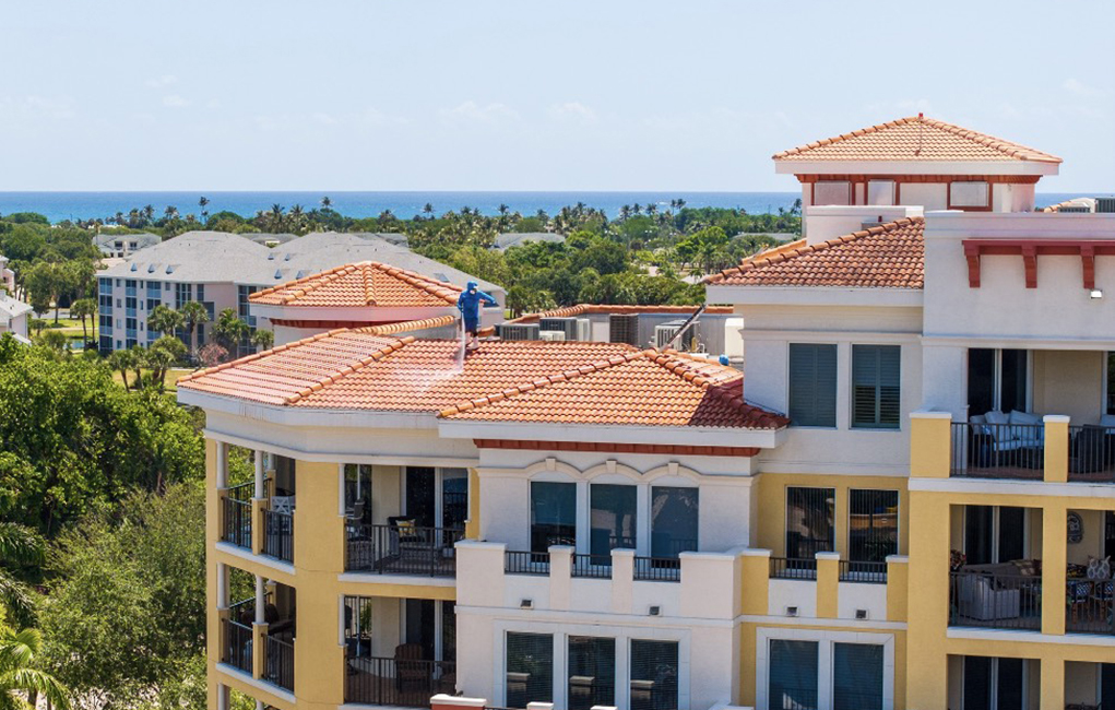 RoofCleaning
