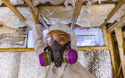 Expert Mold Testing & Detection in Jupiter, FL: Why It Matters More Than You Think